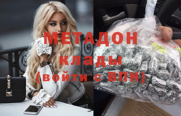 прущие грибы Богданович