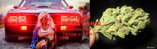 прущие грибы Богданович