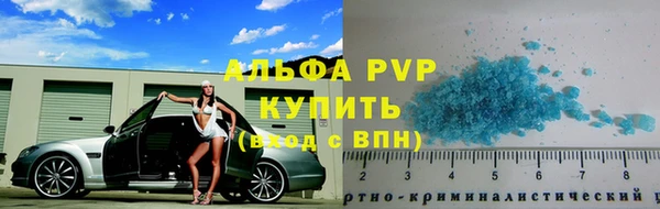 прущие грибы Богданович
