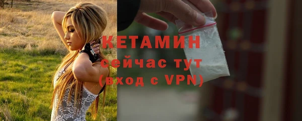 прущие грибы Богданович
