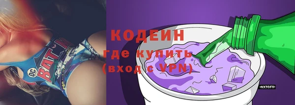 прущие грибы Богданович