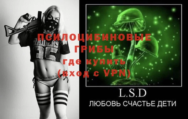 прущие грибы Богданович