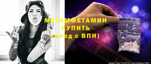 прущие грибы Богданович