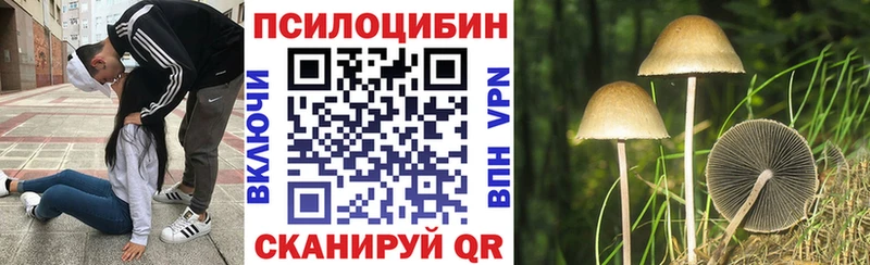 Купить где  Минеральные Воды  Галлюциногенные грибы мицелий 